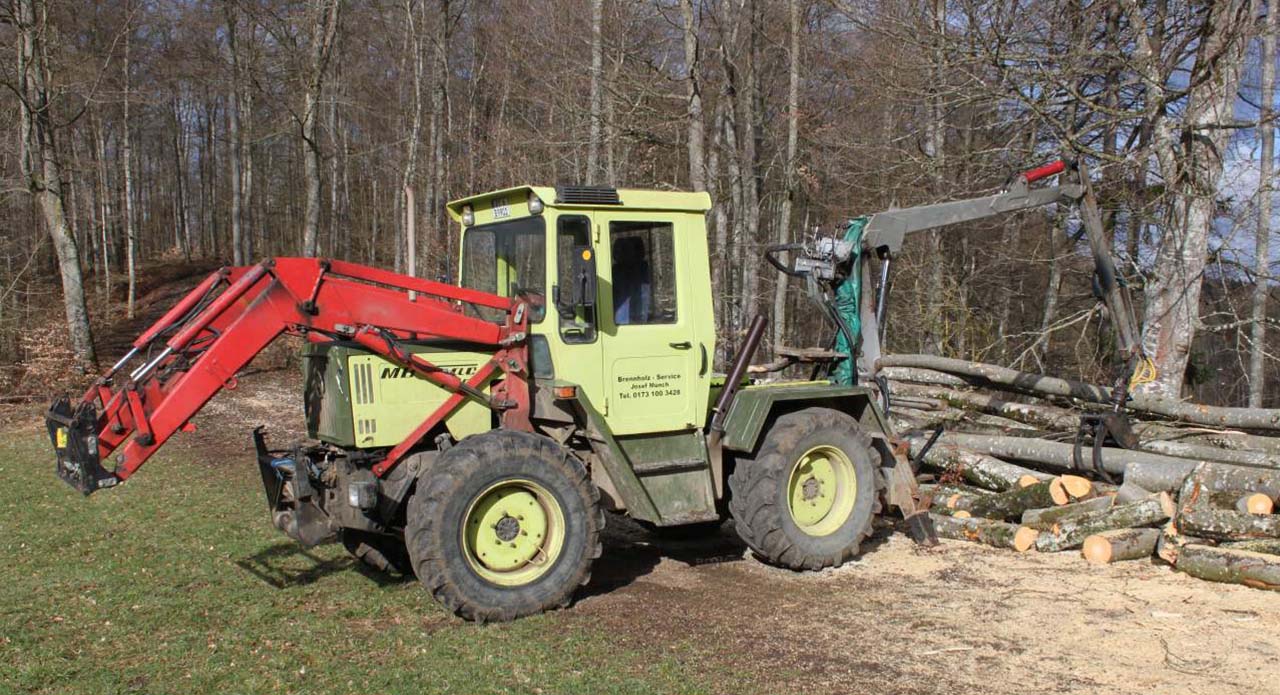 Brennholzqualität von der schwäbischen Alb, nachhaltig erwirtschaftet