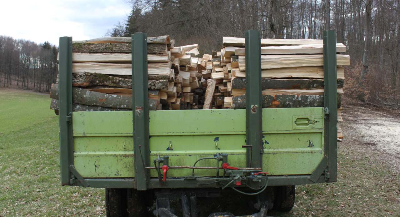 Brennholzqualität von der schwäbischen Alb, nachhaltig erwirtschaftet